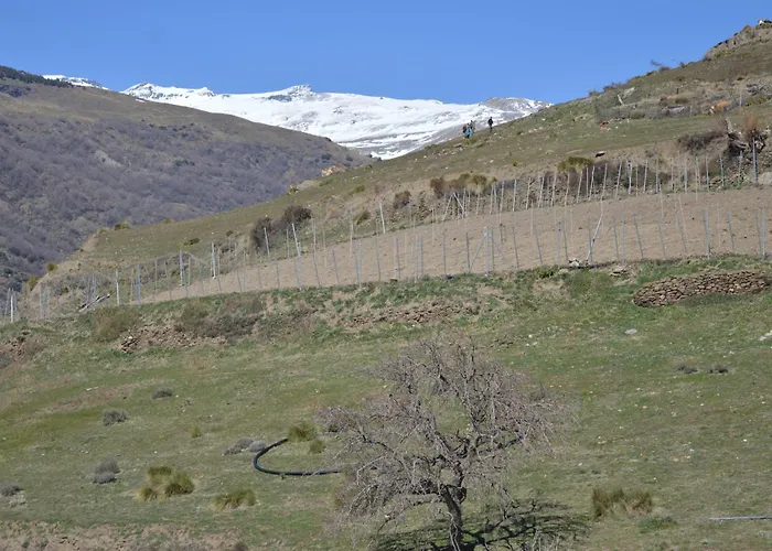 Rural Alfajía De AntonioHotel Rural